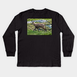 Male mountain goat Kids Long Sleeve T-Shirt